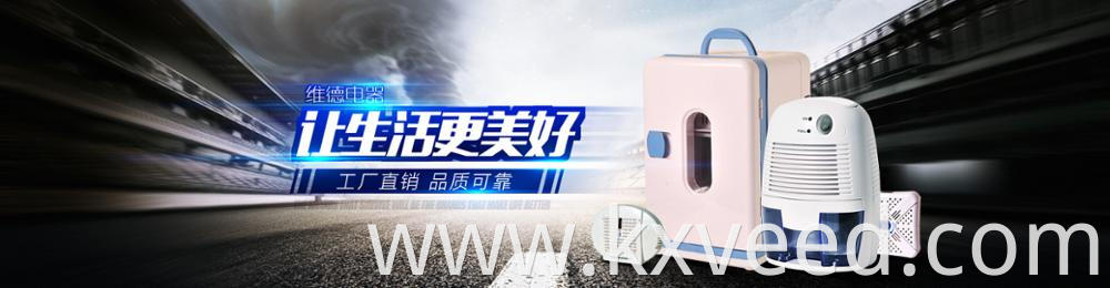 Wholesales semiconductor cooler warmer fridge for car home